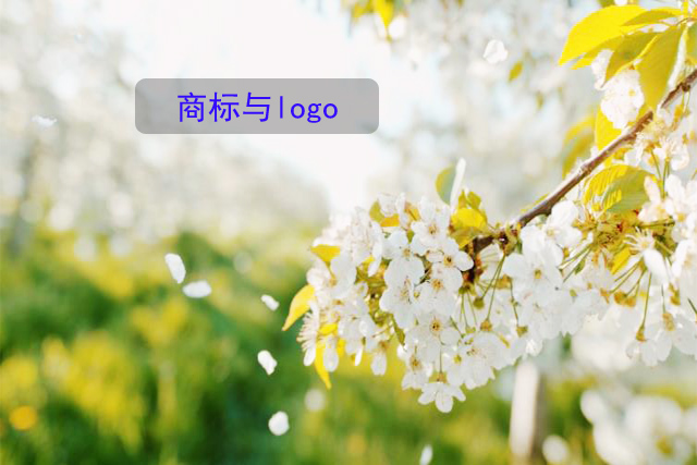 商標與logo區別
